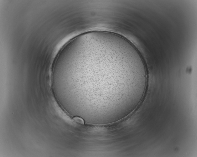 X0000112511238200908311325