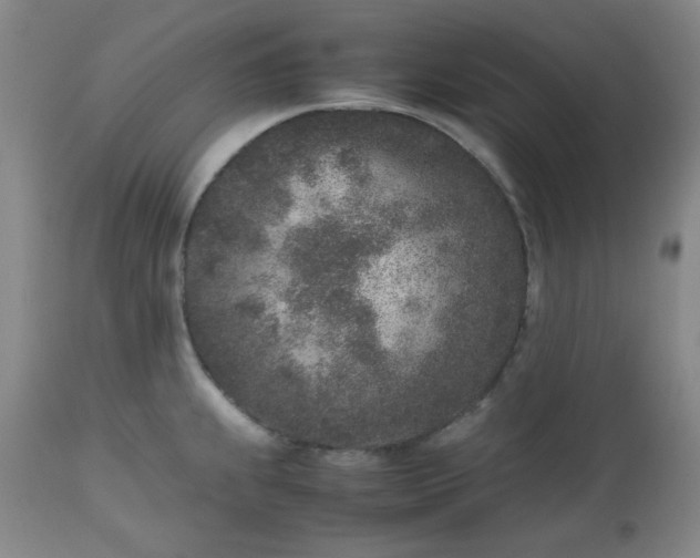 X0000112511239200908311325