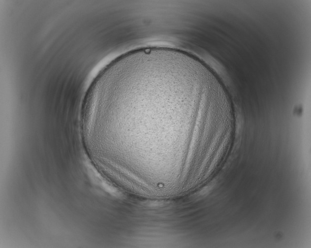 X0000112511240200908311325