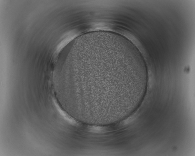 X0000112511241200908311325