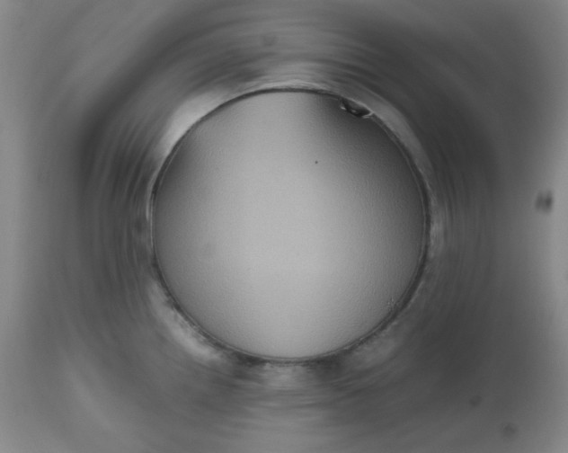 X0000112511242200908311325