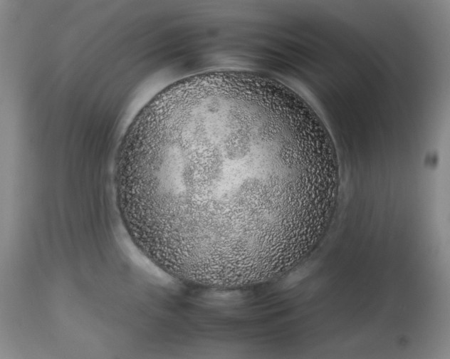 X0000112511243200908311325