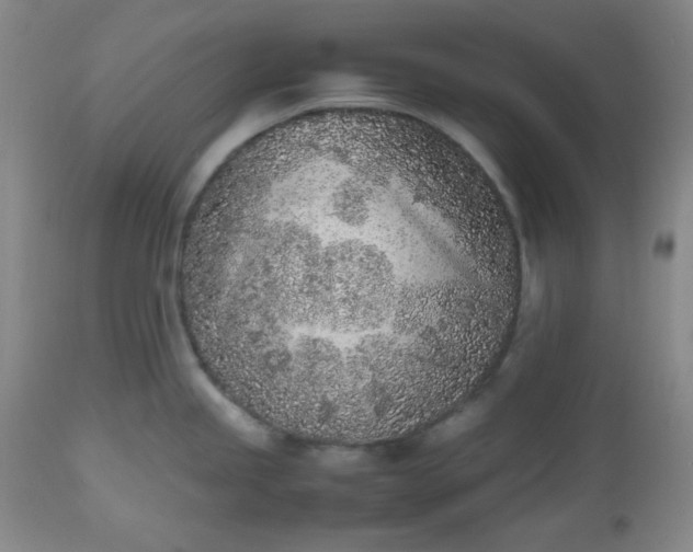 X0000112511245200908311325