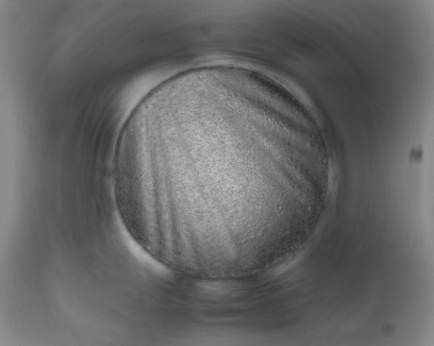 X0000112511247200908311325