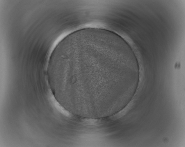 X0000112511248200908311325