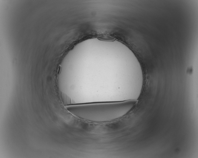 X0000112511249200908311324