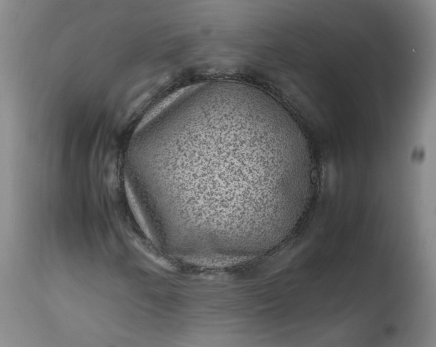 X0000112511250200908311324