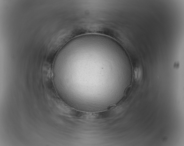 X0000112511251200908311324