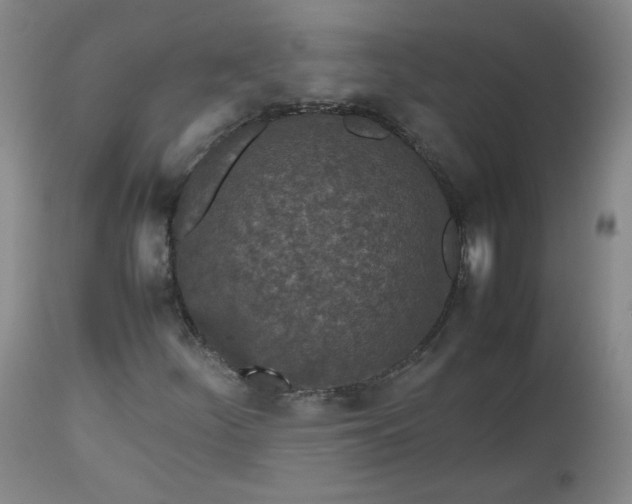 X0000112511252200908311324