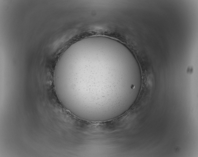 X0000112511253200908311324