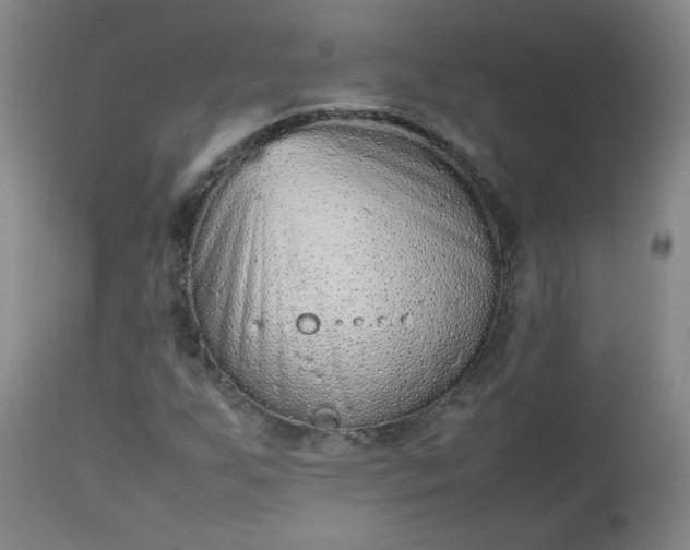 X0000112511255200908311324