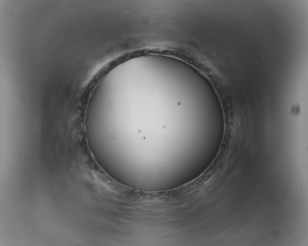 X0000112511256200908311324