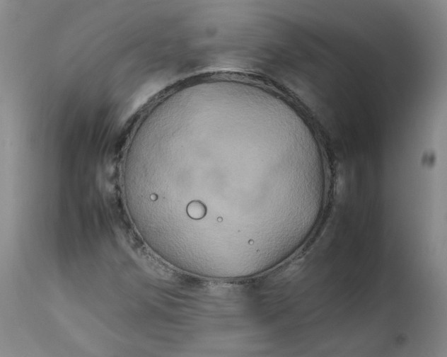 X0000112511258200908311324