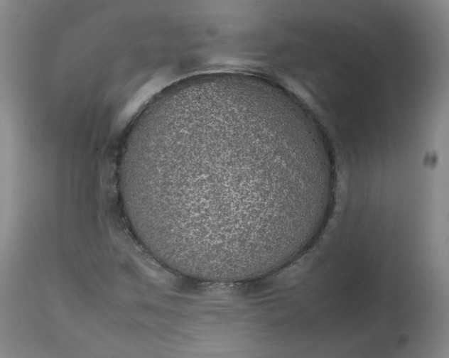 X0000112511259200908311324