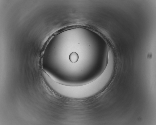 X0000112511260200908311324