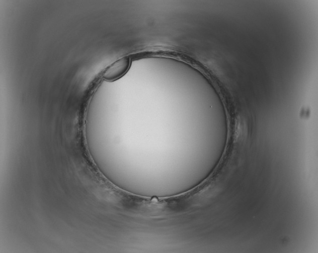 X0000112511261200908311324