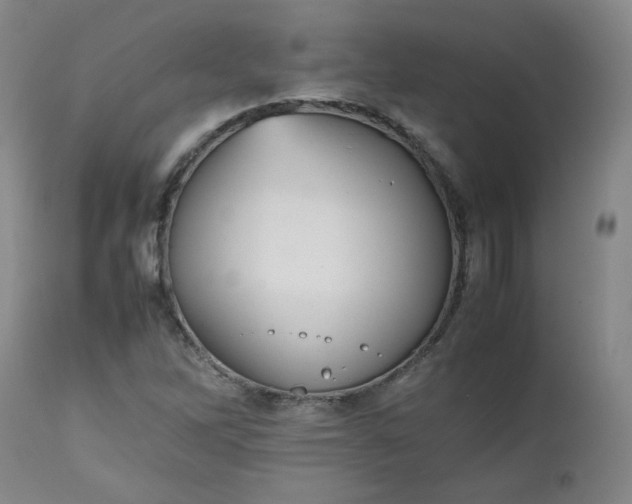 X0000112511262200908311324