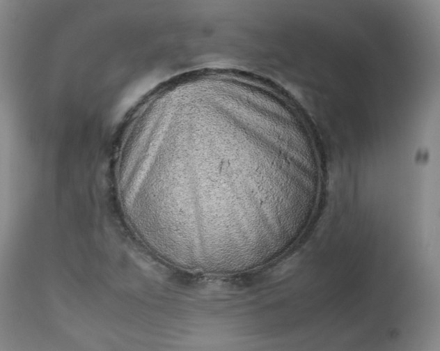 X0000112511263200908311324