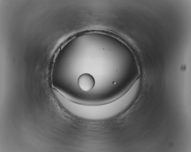 X0000112511264200908311324