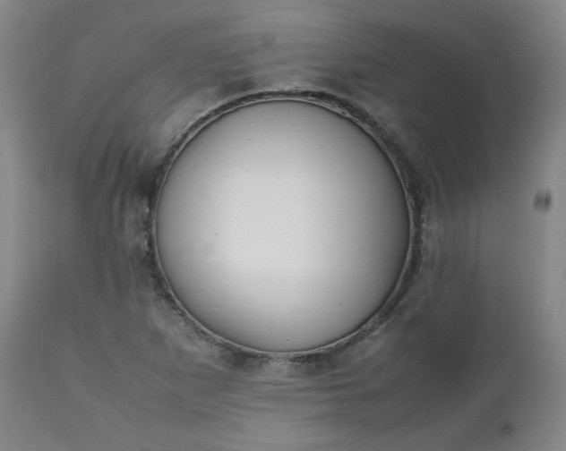 X0000112511265200908311324