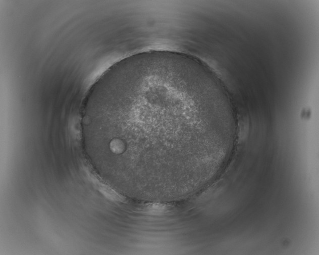 X0000112511266200908311324