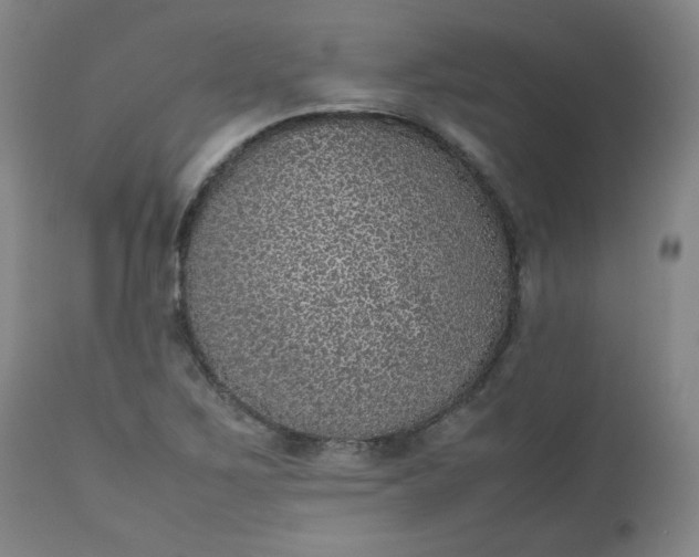 X0000112511267200908311324