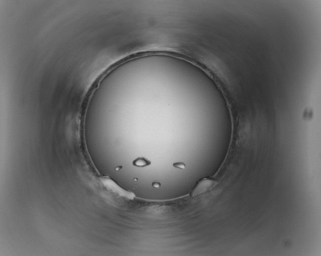 X0000112511268200908311324