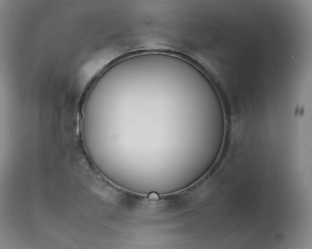 X0000112511269200908311324