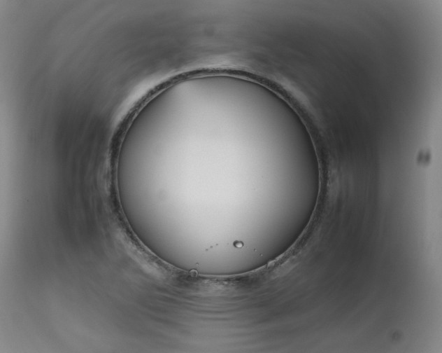 X0000112511270200908311324