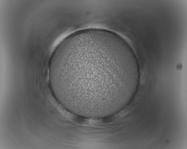 X0000112511271200908311324