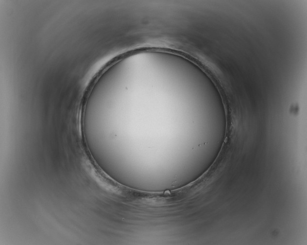 X0000112511272200908311324