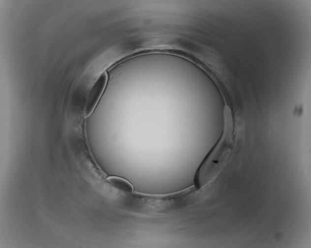 X0000112511273200908311324