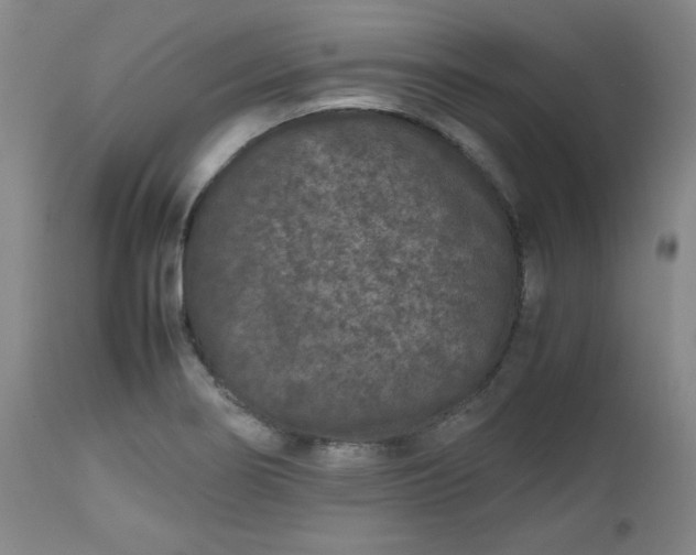 X0000112511274200908311324