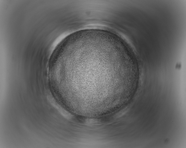 X0000112511275200908311324