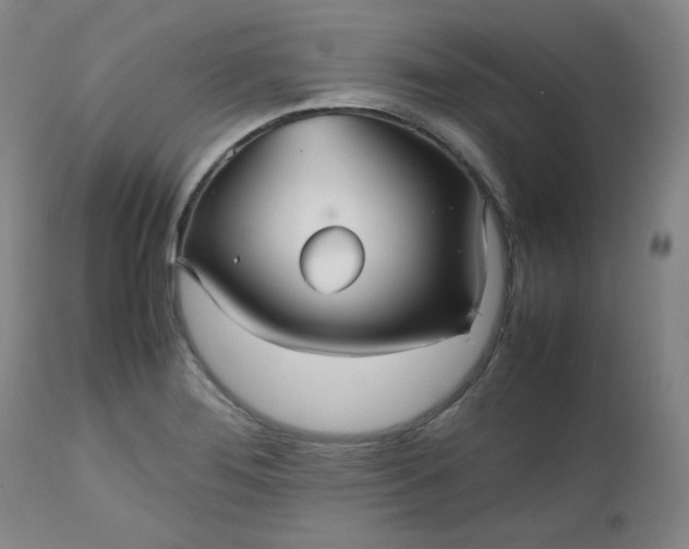 X0000112511276200908311324