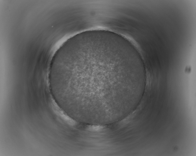 X0000112511278200908311324