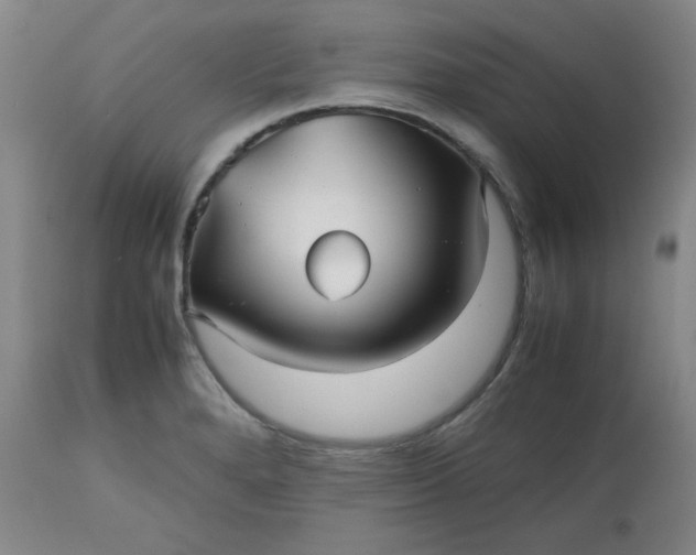 X0000112511280200908311324