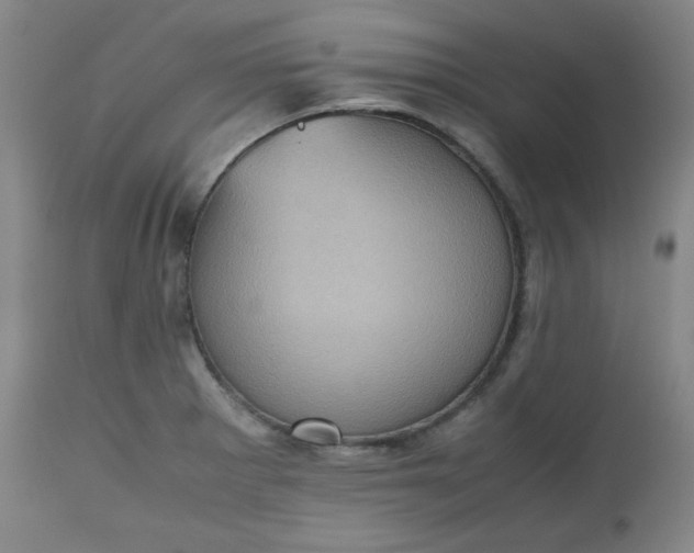 X0000112511281200908311324