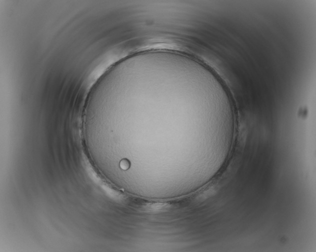 X0000112511282200908311324