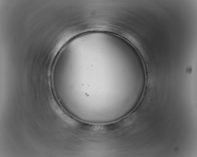 X0000112511283200908311324