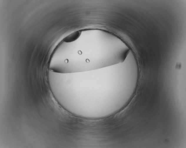 X0000112511284200908311324