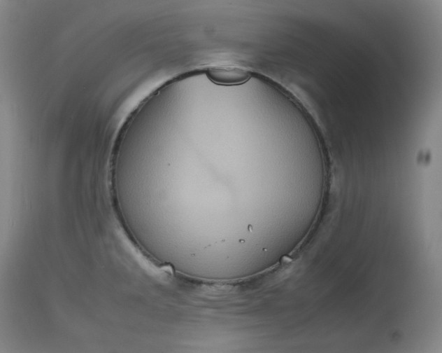 X0000112511285200908311324