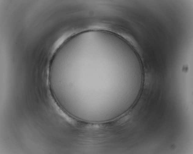 X0000112511286200908311324