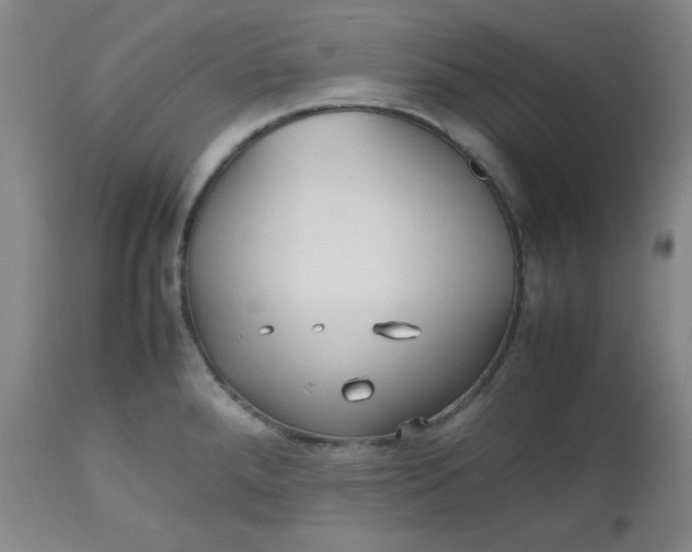 X0000112511288200908311324