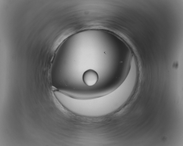 X0000112511289200908311324