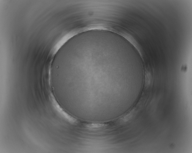 X0000112511290200908311324