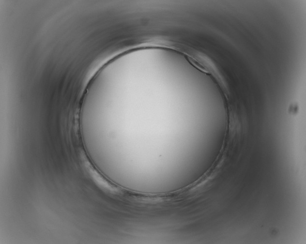 X0000112511292200908311323