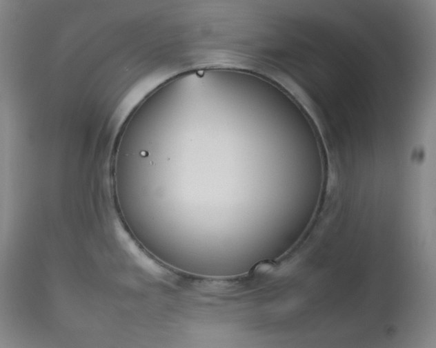 X0000112511293200908311323