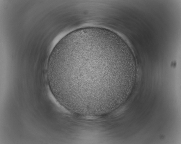 X0000112511295200908311323