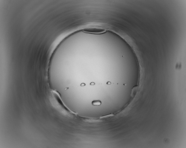 X0000112511296200908311323